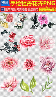 “牡丹花卡通画入门，先画花瓣