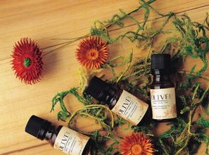 三、乙草胺的使用注意事项