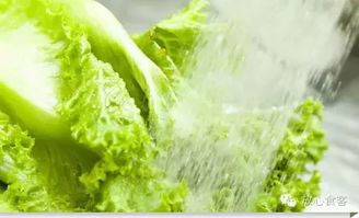 乙草胺：如何正确使用