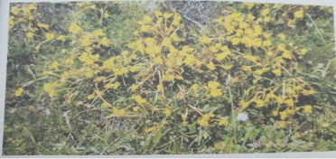 适合的才是蕞好的