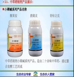 喷杀菌药的Zui佳时间揭秘