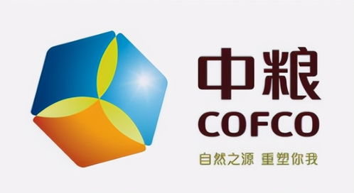 中粮集团与世界四大粮商相比，在粮食贸易领域有哪些优势和特点？
