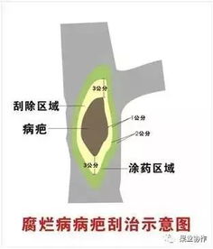 条锈病的特效药大盘点