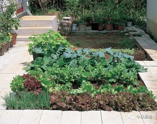 蔬菜种植区规划