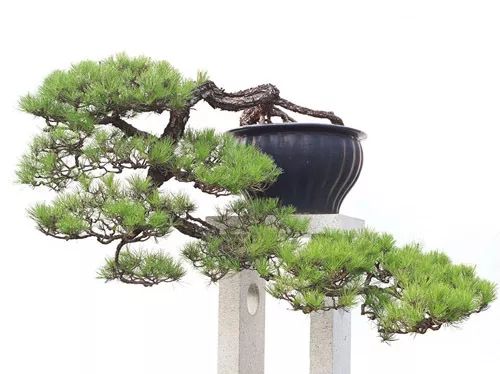 秋季播种，稳扎稳打