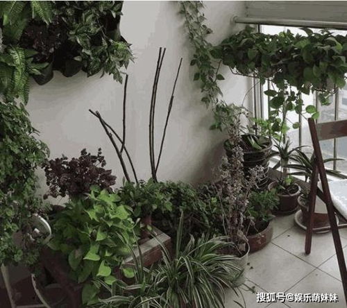 消毒：杀菌大作战