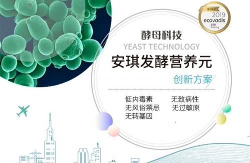 使用技巧：如何Zuo到“准”字诀？