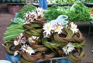 揭秘黑马鞍菌保鲜技巧，让花卉绽放更持久！