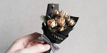 4. 微波炉烘干法， 快速又方便