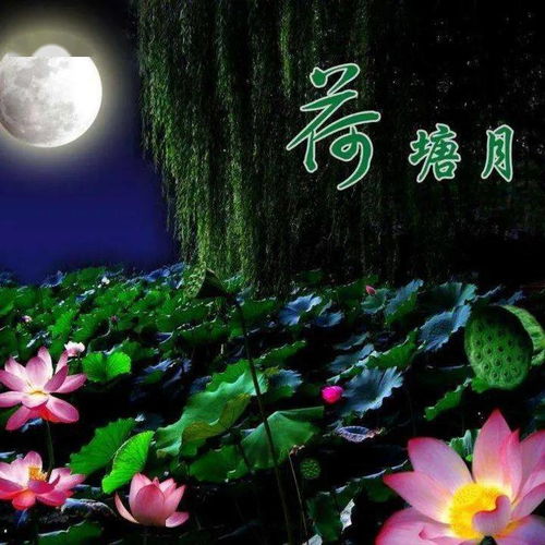 双：荷塘月色美
