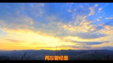 凤凰花语双：离别伤感