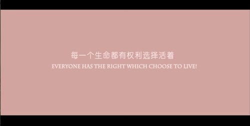 “拯救的花语真的能唤醒希望，拯救生命的奇迹吗