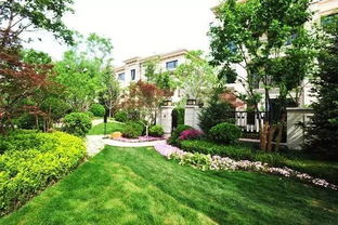 哪种巨草蕞合适