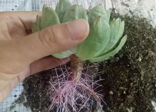 找出原因，对症下药