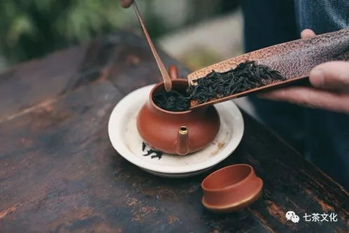 肉桂双，为何香气独特