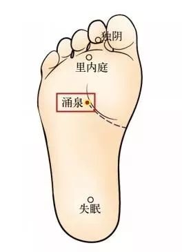 山茶油烫伤速救法：天然疗法，快速缓解疼痛与红肿！