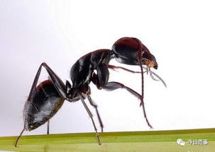 环境污染，有没有影响？