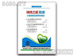 小麦田里的杂草种类大揭秘