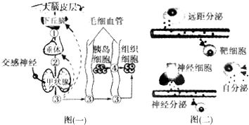 大水漫灌的误区：小心种子霉变