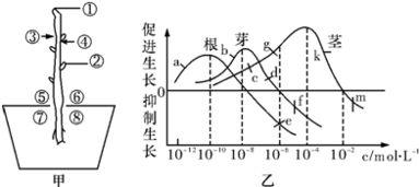 中浓度型：3%-5%，通用型主力产品