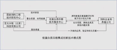 饲料厂生产经理面试时如何确保饲料生产流程中原料配比精准无误？