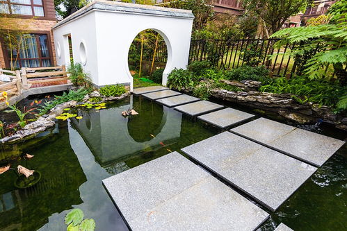 景观设计是Zuo什么的？