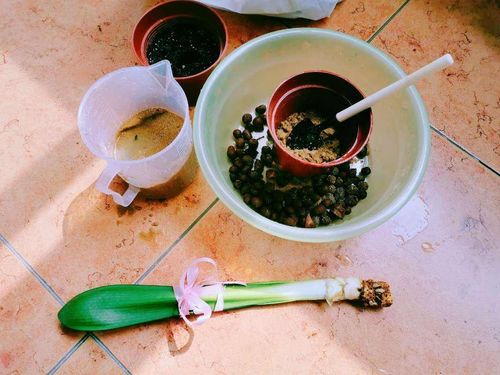 晾晒，是个技术活儿