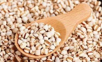 国家标准里 百菌清的使用浓度有讲究