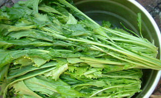 雪里红的Zuo法，你学会了吗？