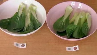 沸水焯烫：快速又有效