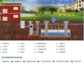 收集雨水，变废为宝