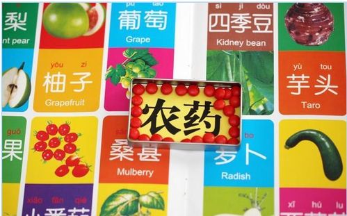 农药的作用机制