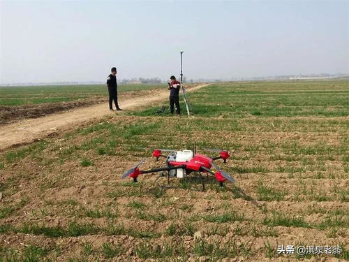 控旺剂和除草剂：目标不同， 作用各异