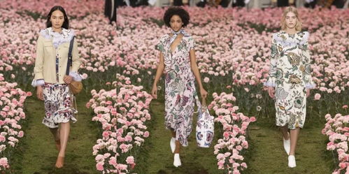 夜晚花儿也美丽， 昙花夜来香