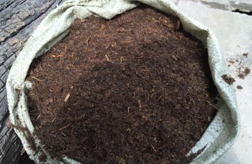 自制营养土的关键是什么？如何调配出最适合植物生长的土壤