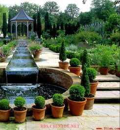 三、采购苗木，挑选植物