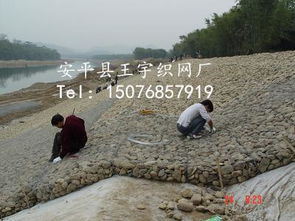 混种护坡：阶梯式防护