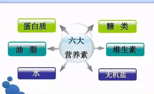 如何根据鸡饲料配比方法，自己配制出营养均衡的鸡饲料比例？
