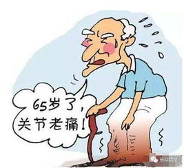 火焰龟肠炎有哪些典型症状，如何通过日常养护预防肠炎发生？