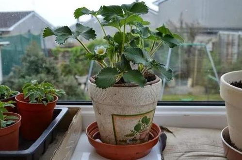 注意事项与个人见解