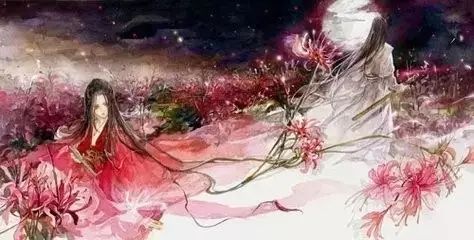 双彼岸花，花中仙子是何人