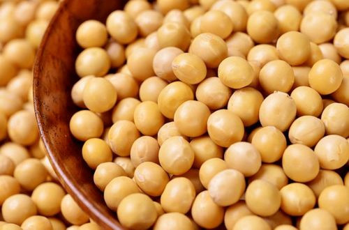 大豆病虫害的防治， 先说说要了解