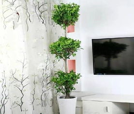 影背墙下不宜太花