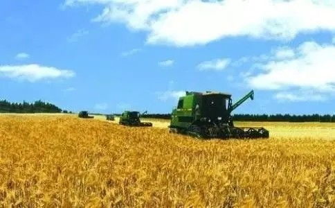 科学选肥增效，助力农业高效生产