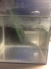 鱼缸补水器哪种材质最耐用，适合长时间使用不漏水？