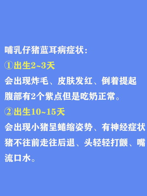 猪蓝耳病防控策略与预防措施