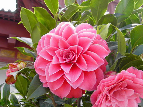 多晒太阳，阳光是生命之源