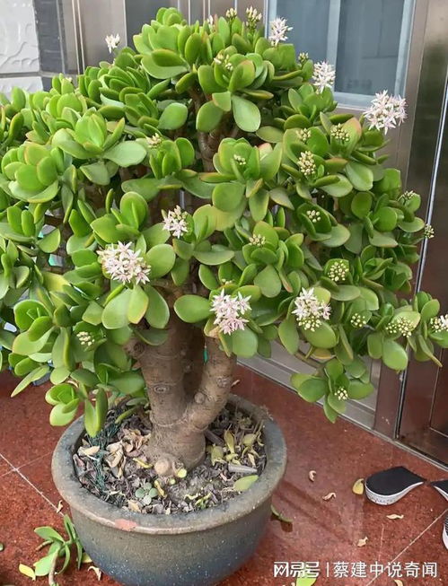 二、寻找原因，对症下药