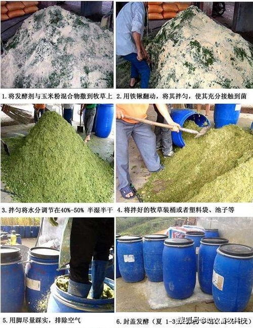 清除饲料加工中，清除饲料包括哪些种类，各自的比例是多少？