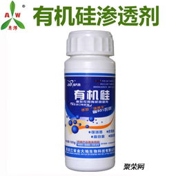 生姜病害的困扰与防范之道